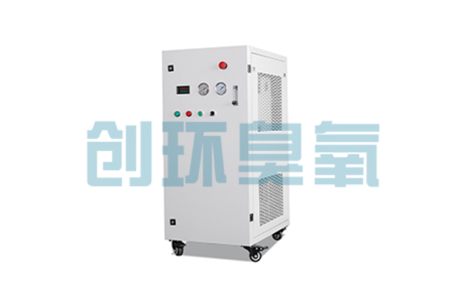 吉林比传统换水更高效？臭氧发生器在石斑鱼养殖中的水质净化原理解析