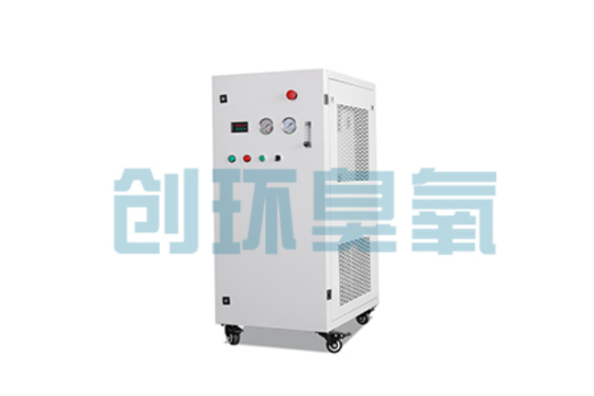 吉林比传统换水更高效？臭氧发生器在石斑鱼养殖中的水质净化原理解析